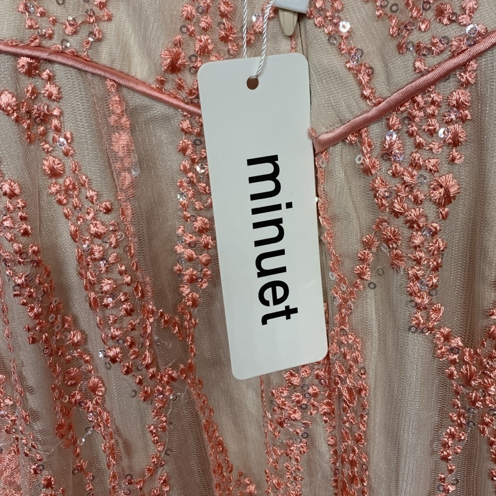 Minuet Pink Embroidered Silver Sequin Formal Dress - Picture 7 of 12